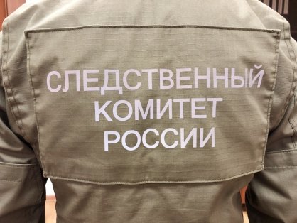 В Архангельске возбуждено уголовное дело об убийстве несовершеннолетнего